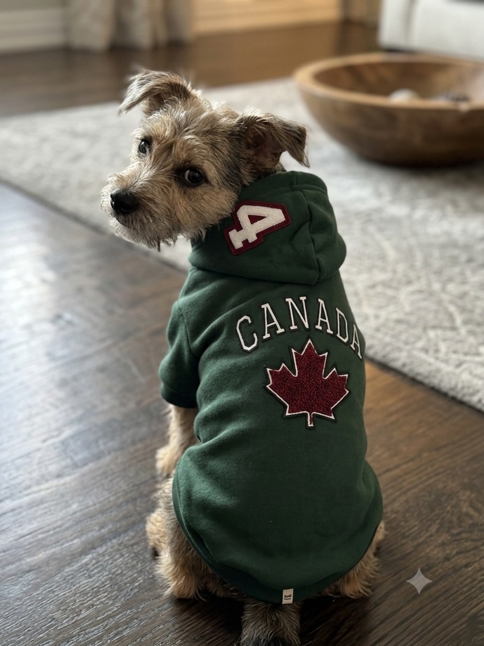 By Hudson Bay Canada Maple Leaf Dog Hoodie in Green with Red Accent